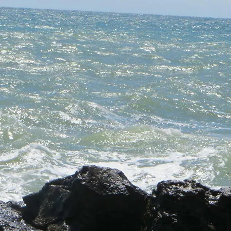 Rumina * Варна